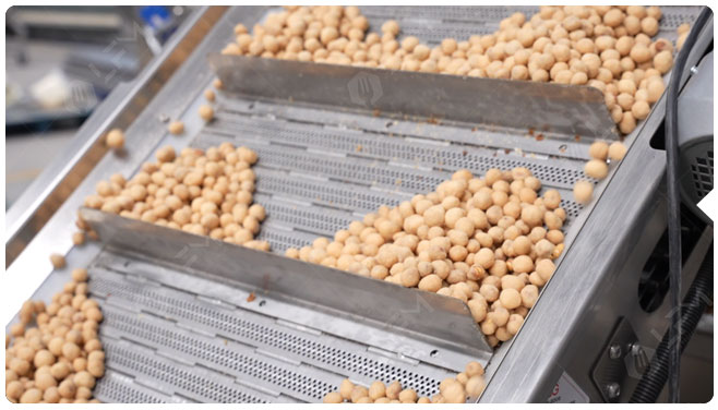 1 Coated Peanut Frying Line.jpg